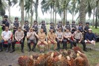 Harga Sawit Meroket, Kapolda Perintahkan Patroli Perkebunan