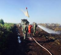 Riau membara, 15 hektare lahan terbakar 2 hari di Bengkalis