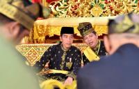Jokowi kembalikan lahan Senama Nenek, LAMR: Berawal dari bisik-bisik
