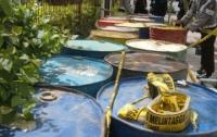 Polda Riau Sikat 33 Drum Minyak Tanah Tak Resmi