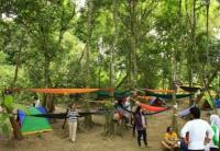 Ayo! Main Buaian dengan Gajah Jinak di Festival Hammock 2017 di Kampar