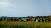 Prajurit TNI Bantu Panen Perdana di Kampar