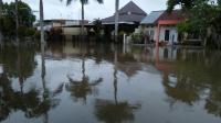 Ini Langkah Dinas Sosial Antisipasi Bencana Banjir Di Pekanbaru 