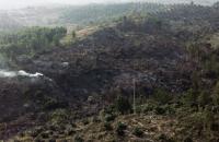 3 lokasi kebakaran lahan dipadamkan tim gabungan di Pelalawan