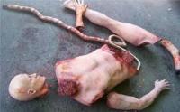 Pengadilan Tinggi Riau Vonis Bebas Terdakwa Mutilasi Siak