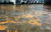 Perairan Dermaga Pelindo tercemar minyak CPO milik PT Naga Mas