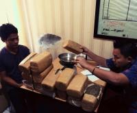 15 Kg ganja diungkap Polda Riau transaksi di samping Van Hollano Pekanbaru
