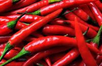 Cabe Merah Makin Pedas di Bagan, Tembus Rp 60 Ribu/Kg