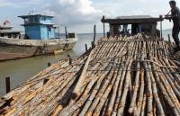 Ditpolair Riau Gagalkan Penyelundupan Ribuan Batang Kayu Teki Ilegal