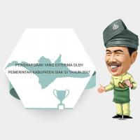 Ini inovasi Syamsuar selama jadi Bupati Siak