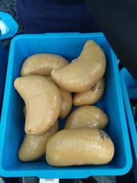 4 orang selipkan 5,7 Kg sabu di selangkangan di Bandara SSK II Pekanbaru