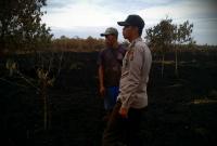 50 hektar lahan gambut yang terbakar di Meranti telah padam