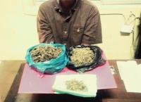 Punya ganja 200 gram, perempuan 44 tahun ini ditangkap Polres Kuansing
