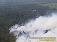 Jet Tempur TNI Ikut Pantau Karhutla di Riau