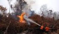 Orang Tak Bertanggung Jawab Bakar Lahan, Polisi dan TNI di Dumai Jadi Kewalahan