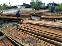 Polda Riau Sita 20 Ton Kayu Hutan Pembalakan Liar di Meranti