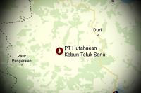 Polda Riau incar pejabat PT Hutahaean jadi tersangka perorangan