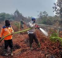 Gubernur Riau Minta Pemda Dirikan Posko Karhutla