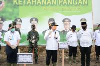 Tingkatkan Ketahanan Pangan, Gubri Ajak Masyarakat Buat Gerakan Menanam