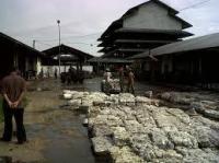 Izin pabrik karet PT Bangkinang diperpanjang Pemko Pekanbaru, Zaidir: tak sanggup diracun baunya