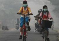 Parah! Sepekan lebih warga hirup asap, Pemprov Riau lambat