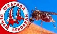 Pancaroba, 10 Warga Rohul Terserang DBD