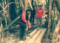 Temuan kayu olahan ilegal di hutan konservasi RAPP dimusnahkan dengan dicincang