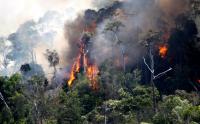 CEGAH KORUPSI: Tata Kelola Hutan harus transparan