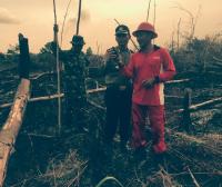 Bulan puasa Riau semakin membara, 25 hektare lahan TNTN terbakar