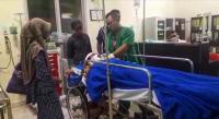 Konflik Harimau di Inhil Berulang Kali Terjadi
