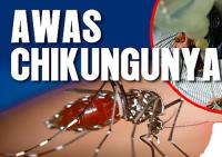 Gawat! 54 Warga Satu Dusun di Inhu Terjangkit Chikungunya