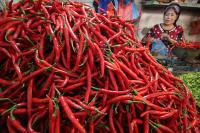 Pedas, di Pekanbaru, harga cabai merah tembus Rp 90 ribu