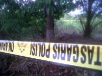 Duh! Pria tak dikenal tergantung dan membusuk di pohon karet