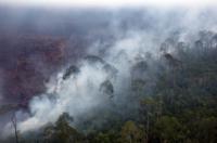 Kabut Asap, total 10 jiwa tewas, 80.263 warga Riau terserang ISPA