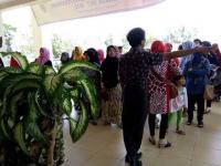 Tim tetap maju, Ketua tim pemenangan IDE-SUA: tak ada alasan KPU diskualifikasi BISA