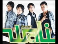 Konser Wali Dapat Kecaman Keras dari Tomas di Pelalawan