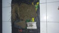 Satresnarkoba Polres Bengkalis Sita 3 Kilogram Ganja