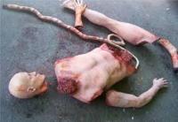 DNA 3 Korban Mutilasi di Riau Identik dengan Orang Tuanya