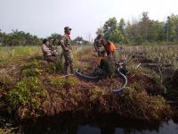 Sinergitas TNI Polri Bebaskan Riau dari Asap Karhutla
