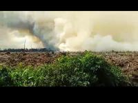 BMKG : 41 Titik Panas Kepung Riau