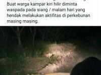 ‎Seekor Harimau Sumatera tertangkap Kamera Warga Di Kampar