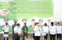 Wabah Corona, Gubri Minta Perusahaan Di Riau Tanam Ubi, Jagung dan Padi