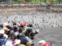 Lomba Cari Ikan di Sawah, Tradisi warga Rohul Jelang Musim Tanam