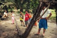 Ular piton sepanjang 7 meter di Riau serang pemburunya