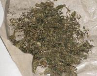 Alamak ! Pria Ini Sembunyikan Ganja di Kandang Anjing