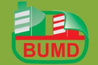 Pernyataan Modal Besar, BUMD Belum Mampu Berikan Kontribusi