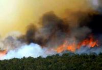 10 titik api muncul di Riau, 135 ha lahan di Meranti terbakar