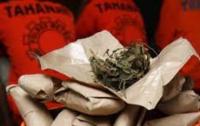 Simpan 8 Kg Ganja, Remaja Asal Aceh diciduk polisi Dumai