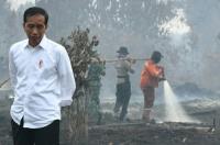 Karhutla, Jokowi: Cegah sejak Dini dan Tindak Tegas!