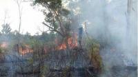 Areal PT Chevron Terbakar 5 Hektare